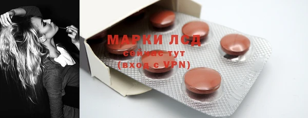 PSILOCYBIN Слюдянка