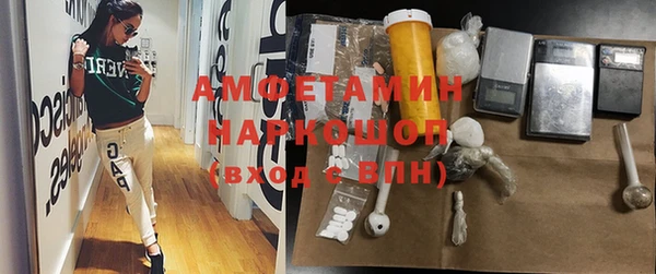 мдпв Лагань
