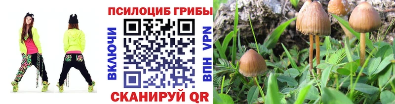 Псилоцибиновые грибы мицелий  наркошоп  Самара 