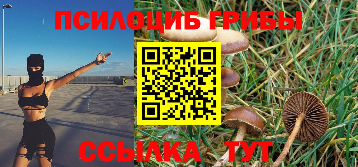 Псилоцибиновые грибы ЛСД Самара